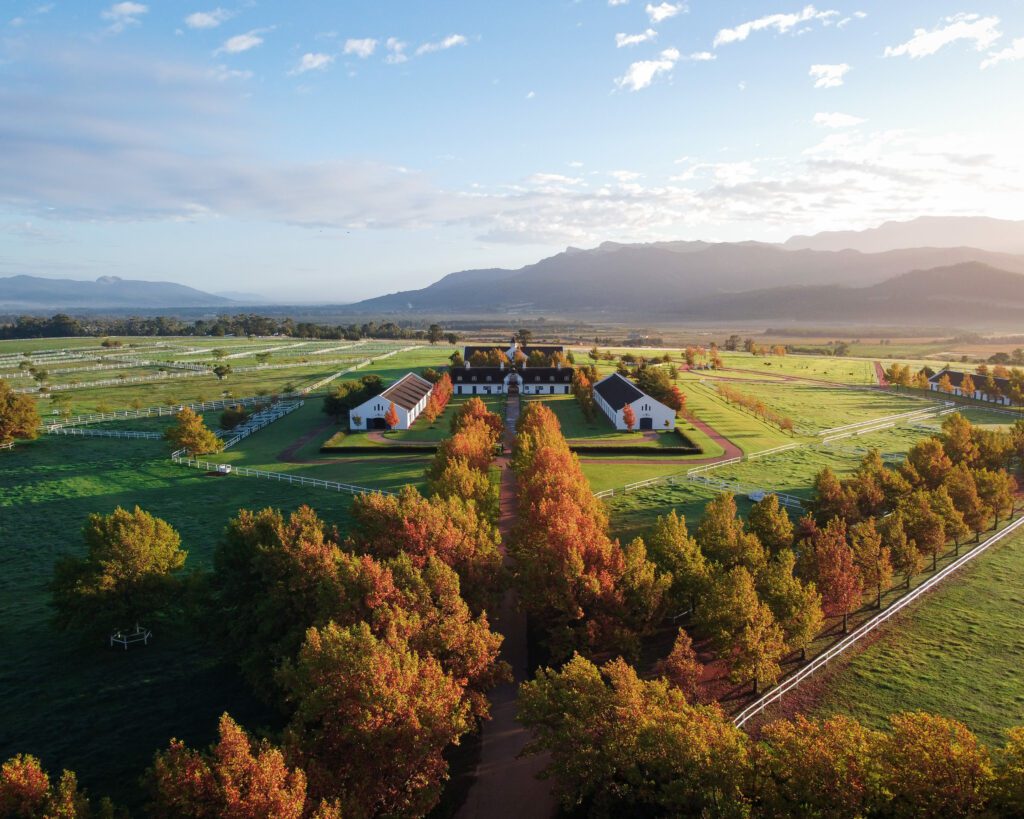 Imibala Summer Gala Auction Lots Announced 5 Imibala Summer Gala. Horse Stables