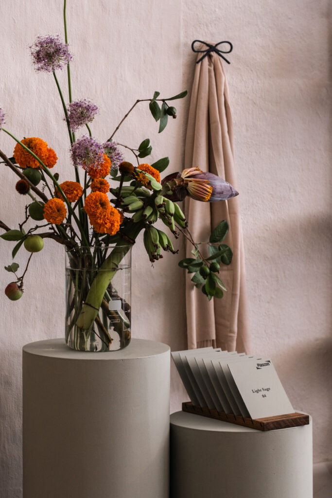 Anatomy Design and Plascon: A Collaboration in Colour for 2025 2 Image 1 683x1024 1