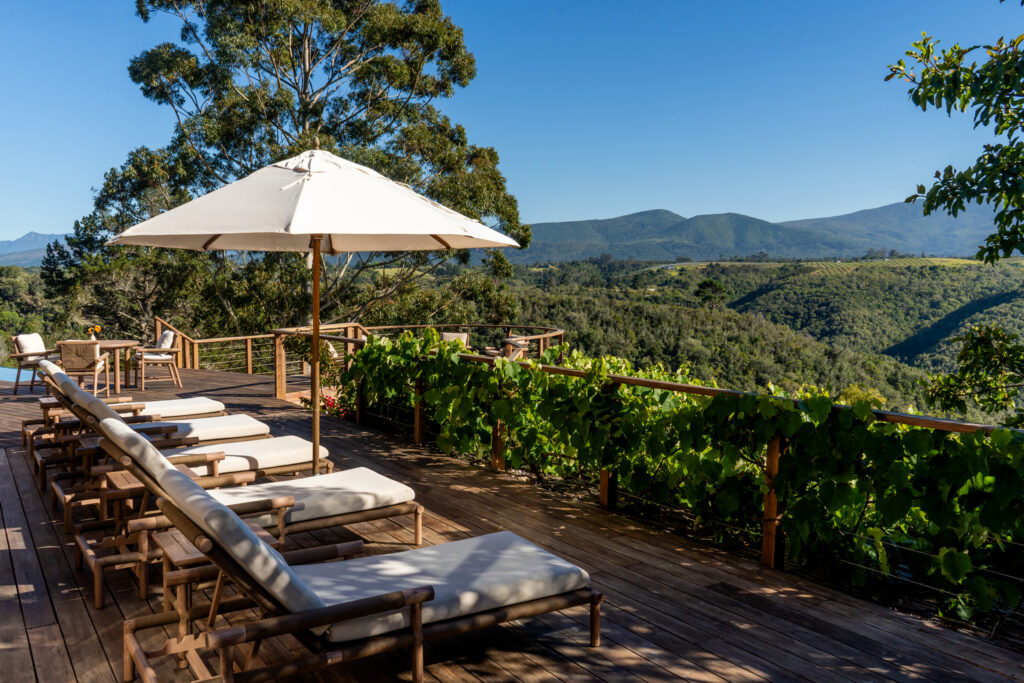 Tamodi Estate & Polo Reserve Opens 5 Tamodi Estate & Polo Reserve in Plettenberg Bay, South Africa, featuring an elegant countryside estate with contemporary interiors, panoramic mountain views, and equestrian facilities, blending refined design with natural serenity.