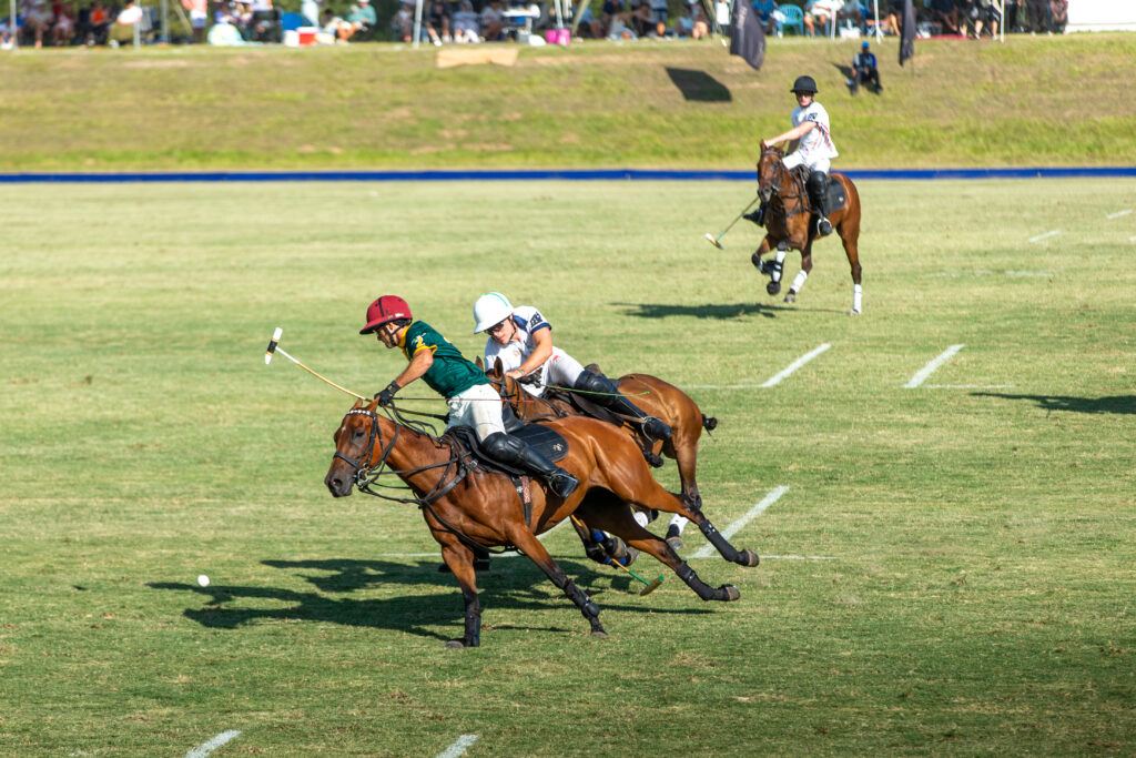 Tamodi Estate & Polo Reserve Opens 14 Tamodi Estate & Polo Reserve in Plettenberg Bay, South Africa, featuring an elegant countryside estate with contemporary interiors, panoramic mountain views, and equestrian facilities, blending refined design with natural serenity.