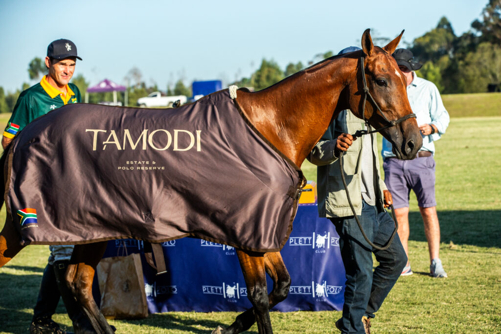 Tamodi Estate & Polo Reserve Opens 13 Tamodi Estate & Polo Reserve in Plettenberg Bay, South Africa, featuring an elegant countryside estate with contemporary interiors, panoramic mountain views, and equestrian facilities, blending refined design with natural serenity.