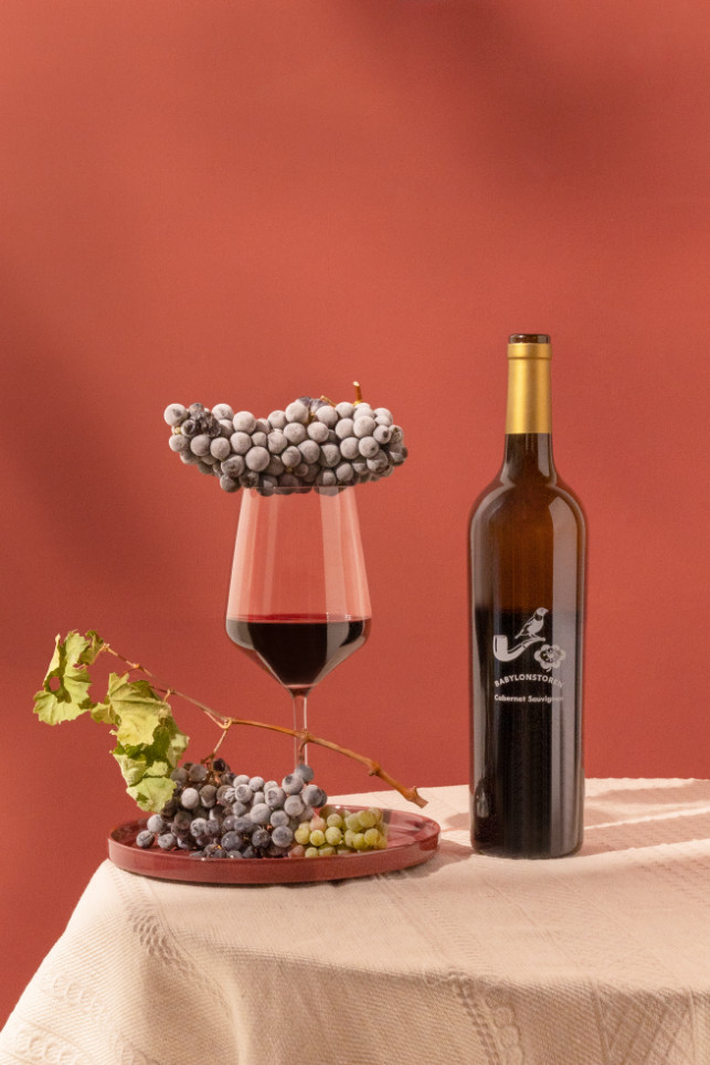 Babylonstoren Wine