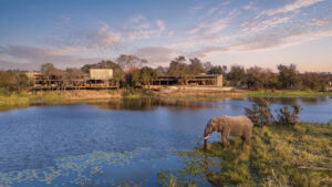 At Sandringham Private Game Reserve, Tracker Academy is training rhino guardians and lodge trackers while teaching the wildlife to trust people again.